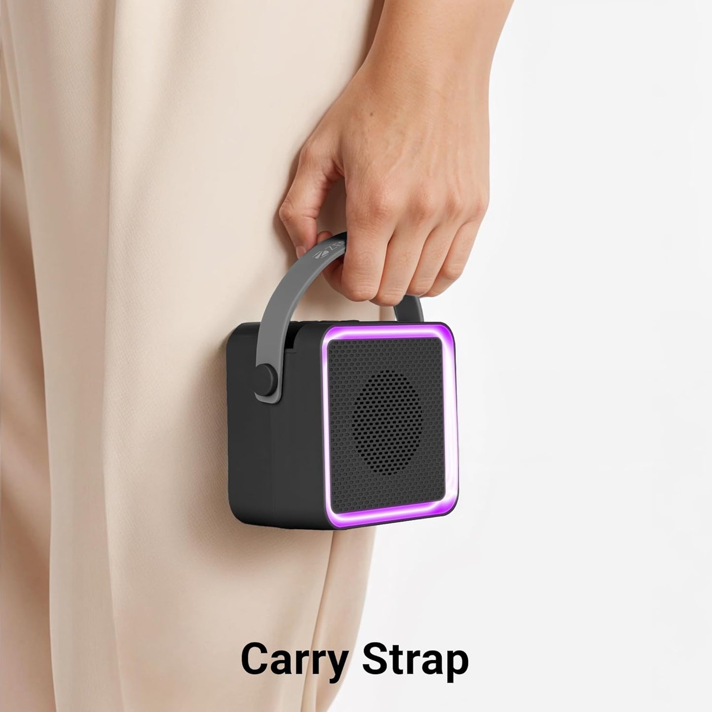 Zebronics County 8 Speaker