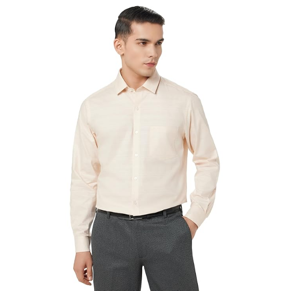 Arrow Formal Shirt