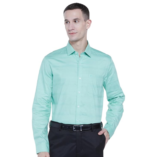 Arrow Formal Shirt