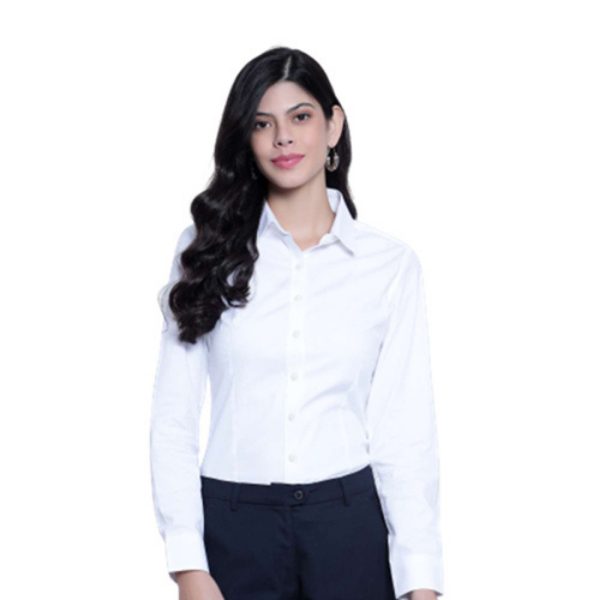 Arrow Formal Shirt