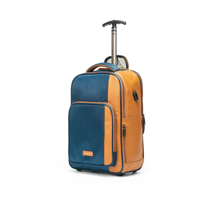 Assembly Trolley cum Backpack