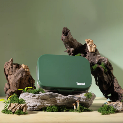 Basil Bento Quad Lunchbox