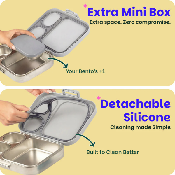 Basil Bento Quad + Lunchbox