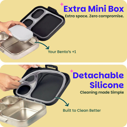 Basil Bento Quad + Lunchbox