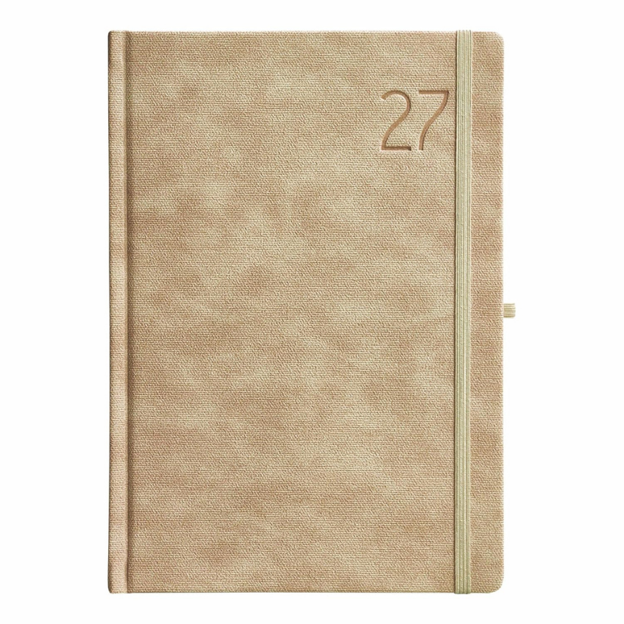 Blaze 2027 Dated Diary