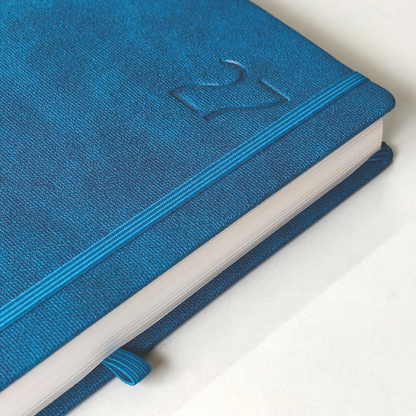 Blaze 2027 Dated Diary