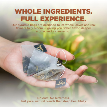 Chayam Assorted Tea Bags