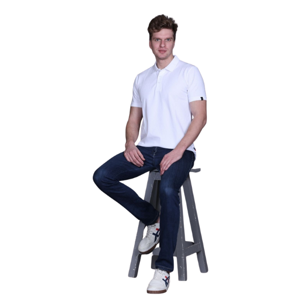 Indian Terrain Polo T-Shirt