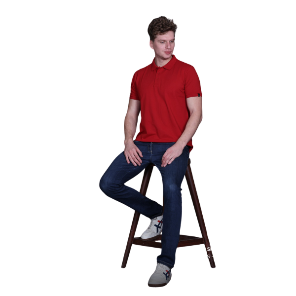 Indian Terrain Polo T-Shirt