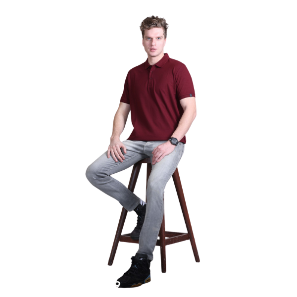 Indian Terrain Polo T-Shirt