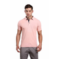 Stellers Dry Fit Polo T-Shirt