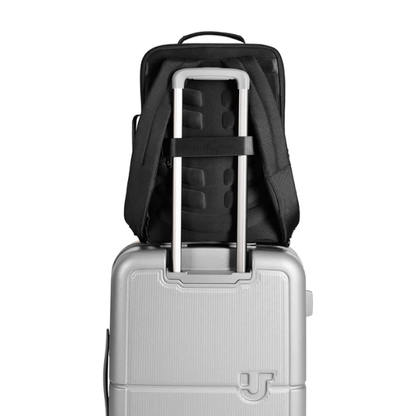 Urban Jungle Roam Briefpack